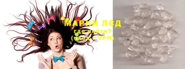 стафф Арсеньев