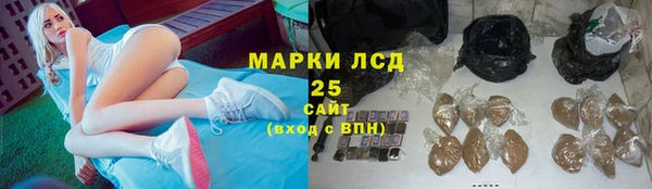стафф Арсеньев